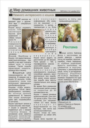 3d визуализации: Создание фирменного стиля